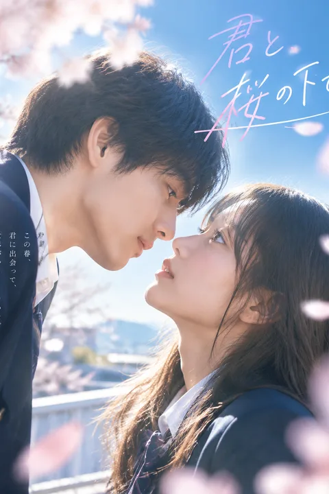 君と桜の下で