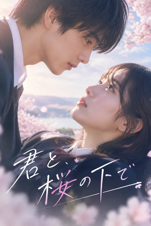 君と、桜の下で